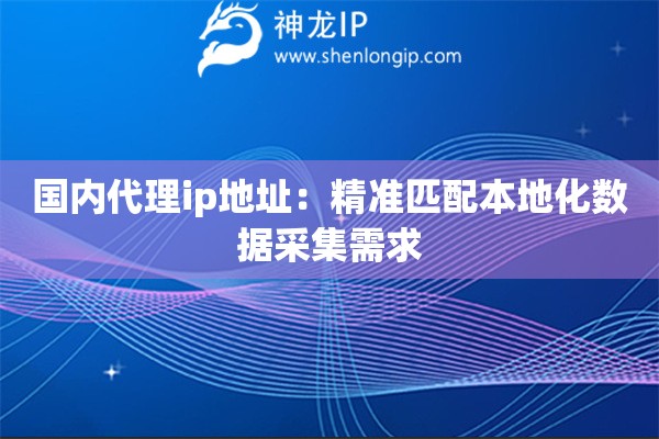 國(guó)內(nèi)代理ip地址：精準(zhǔn)匹配本地化數(shù)據(jù)采集需求
