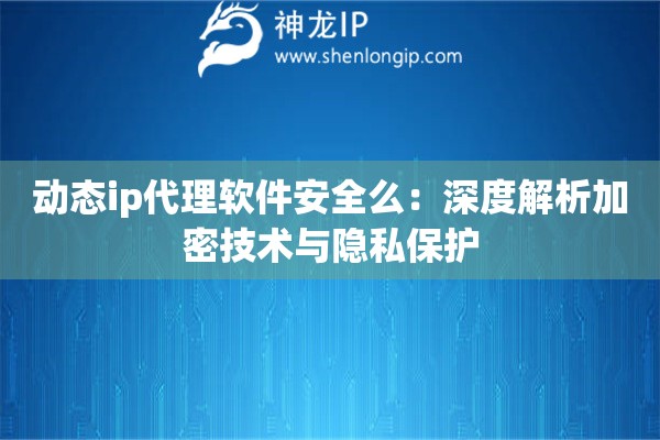 動態(tài)ip代理軟件安全么：深度解析加密技術與隱私保護