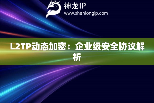 L2TP動態(tài)加密：企業(yè)級安全協(xié)議解析