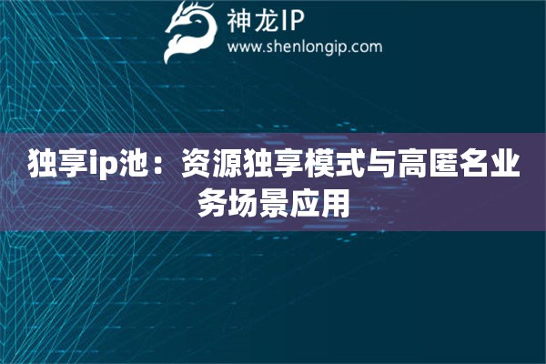 獨(dú)享ip池：資源獨(dú)享模式與高匿名業(yè)務(wù)場(chǎng)景應(yīng)用