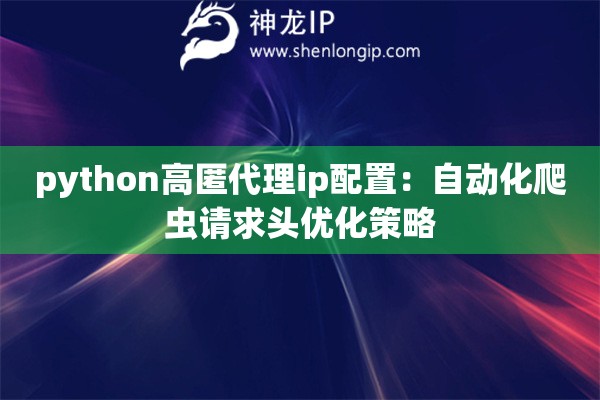 python高匿代理ip配置：自動化爬蟲請求頭優(yōu)化策略