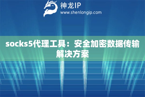 socks5代理工具：安全加密數(shù)據(jù)傳輸解決方案