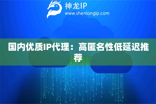 國內(nèi)優(yōu)質(zhì)IP代理：高匿名性低延遲推薦