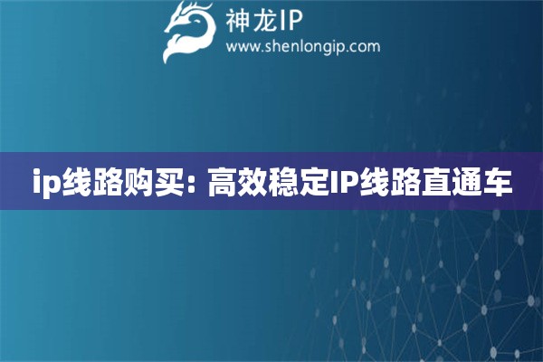 ip線路購買: 高效穩(wěn)定IP線路直通車