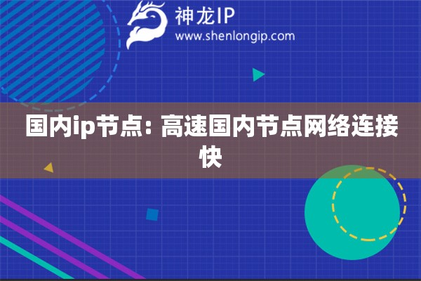 國內(nèi)ip節(jié)點(diǎn): 高速國內(nèi)節(jié)點(diǎn)網(wǎng)絡(luò)連接快