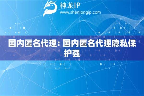 國內(nèi)匿名代理: 國內(nèi)匿名代理隱私保護強