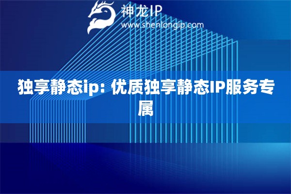 獨享靜態(tài)ip: 優(yōu)質(zhì)獨享靜態(tài)IP服務專屬