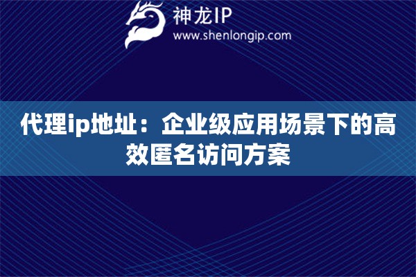 代理ip地址：企業(yè)級(jí)應(yīng)用場(chǎng)景下的高效匿名訪問(wèn)方案