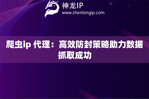 爬蟲(chóng)ip 代理：高效防封策略助力數(shù)據(jù)抓取成功