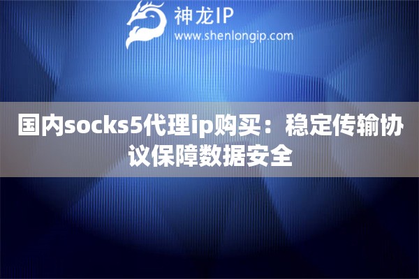 國內socks5代理ip購買：穩(wěn)定傳輸協(xié)議保障數據安全