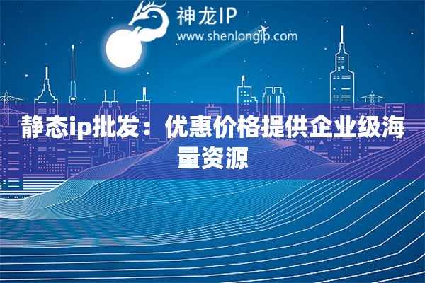 靜態(tài)ip批發(fā)：優(yōu)惠價格提供企業(yè)級海量資源