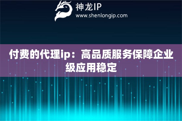 付費(fèi)的代理ip：高品質(zhì)服務(wù)保障企業(yè)級(jí)應(yīng)用穩(wěn)定
