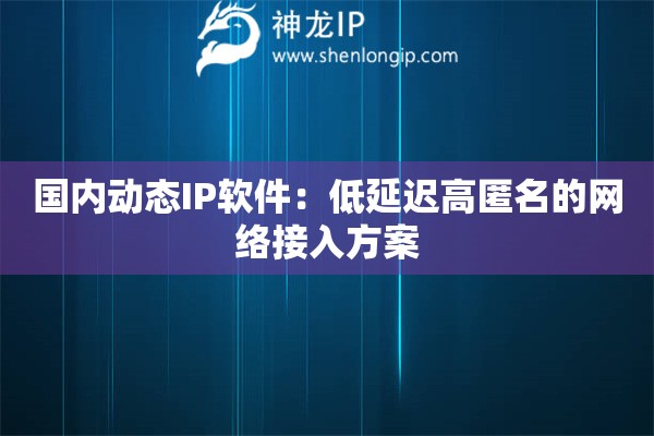 國內(nèi)動(dòng)態(tài)IP軟件：低延遲高匿名的網(wǎng)絡(luò)接入方案
