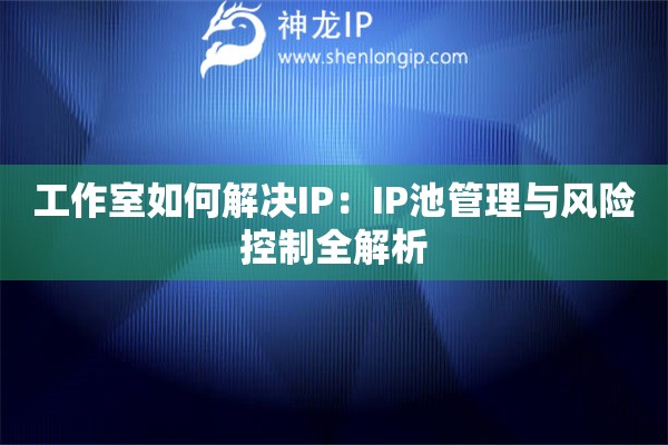 工作室如何解決IP：IP池管理與風(fēng)險控制全解析