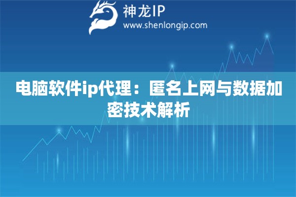 電腦軟件ip代理：匿名上網(wǎng)與數(shù)據(jù)加密技術(shù)解析