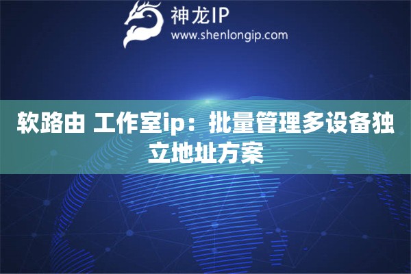 軟路由 工作室ip：批量管理多設(shè)備獨立地址方案