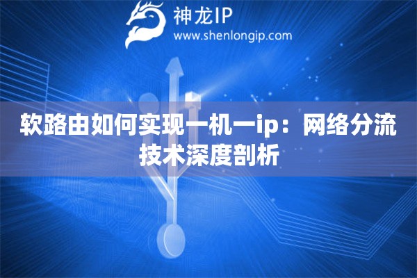 軟路由如何實(shí)現(xiàn)一機(jī)一ip：網(wǎng)絡(luò)分流技術(shù)深度剖析