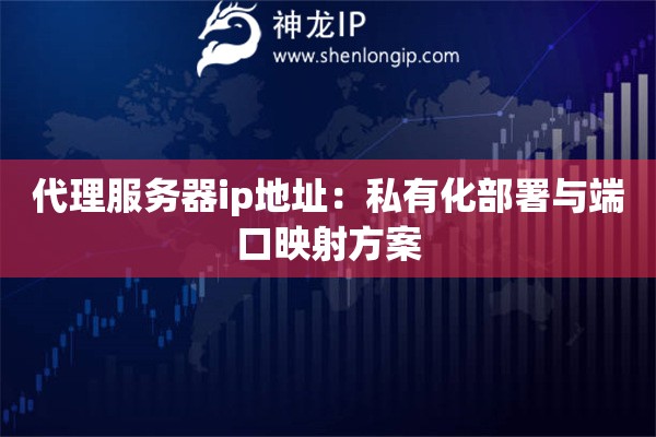 代理服務器ip地址：私有化部署與端口映射方案