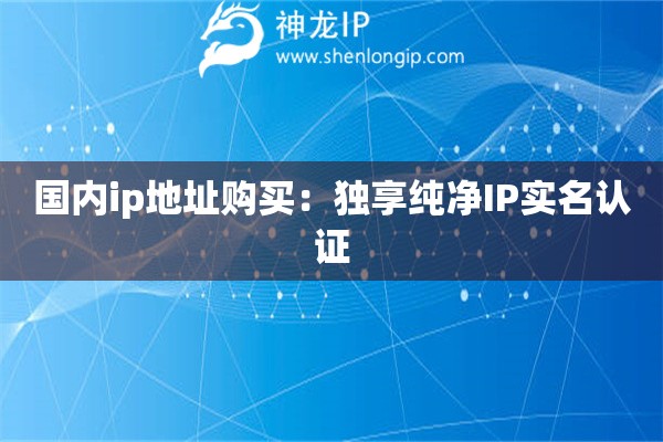 國內(nèi)ip地址購買：獨(dú)享純凈IP實(shí)名認(rèn)證