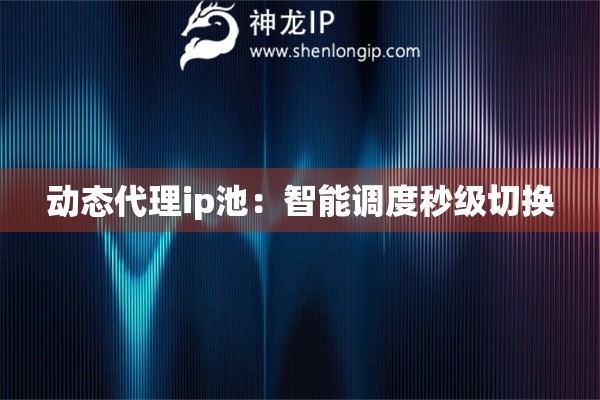 動(dòng)態(tài)代理ip池：智能調(diào)度秒級(jí)切換