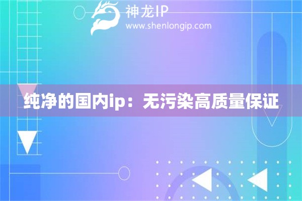 純凈的國內(nèi)ip：無污染高質(zhì)量保證