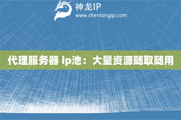代理服務(wù)器 ip池：大量資源隨取隨用