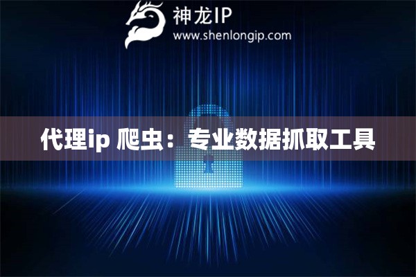 代理ip 爬蟲：專業(yè)數(shù)據(jù)抓取工具