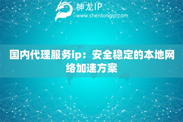 國內(nèi)代理服務ip：安全穩(wěn)定的本地網(wǎng)絡加速方案