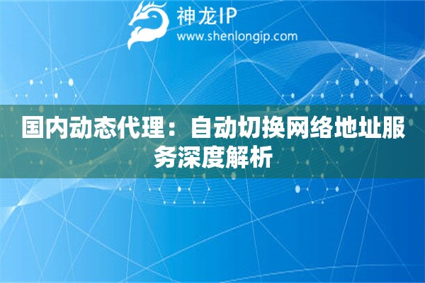 國(guó)內(nèi)動(dòng)態(tài)代理：自動(dòng)切換網(wǎng)絡(luò)地址服務(wù)深度解析