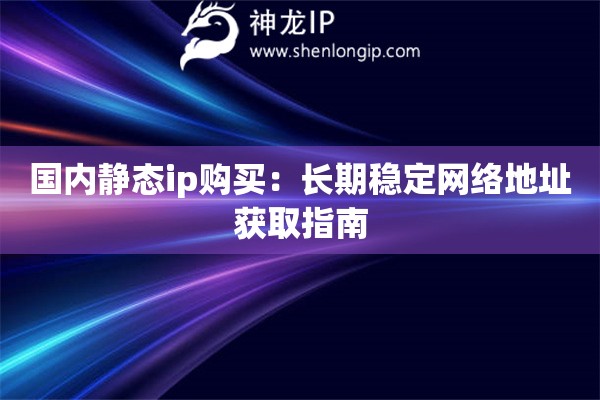 國(guó)內(nèi)靜態(tài)ip購(gòu)買：長(zhǎng)期穩(wěn)定網(wǎng)絡(luò)地址獲取指南