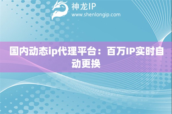 國內(nèi)動態(tài)ip代理平臺：百萬IP實(shí)時自動更換