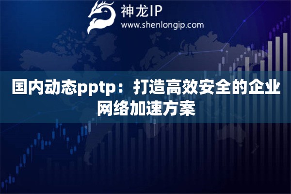 國內(nèi)動態(tài)pptp：打造高效安全的企業(yè)網(wǎng)絡(luò)加速方案