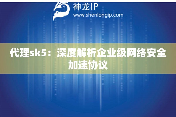 代理sk5：深度解析企業(yè)級網(wǎng)絡安全加速協(xié)議