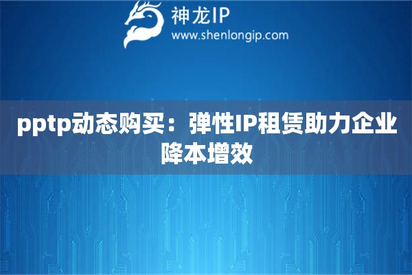 pptp動態(tài)購買：彈性IP租賃助力企業(yè)降本增效