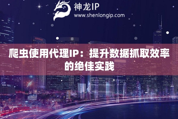 爬蟲使用代理IP：提升數(shù)據(jù)抓取效率的絕佳實(shí)踐
