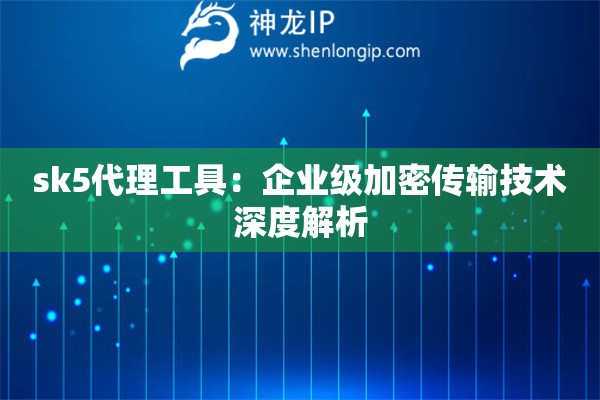 sk5代理工具：企業(yè)級加密傳輸技術(shù)深度解析