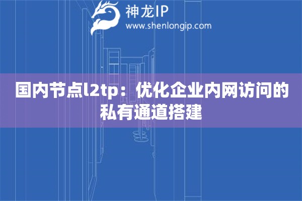 國(guó)內(nèi)節(jié)點(diǎn)l2tp：優(yōu)化企業(yè)內(nèi)網(wǎng)訪問(wèn)的私有通道搭建