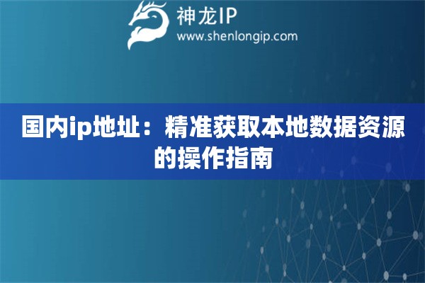國(guó)內(nèi)ip地址：精準(zhǔn)獲取本地?cái)?shù)據(jù)資源的操作指南