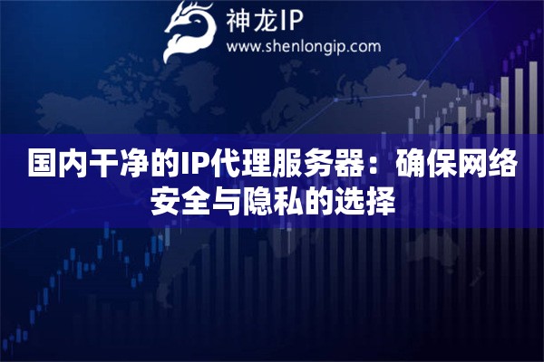 國內(nèi)干凈的IP代理服務(wù)器：確保網(wǎng)絡(luò)安全與隱私的選擇