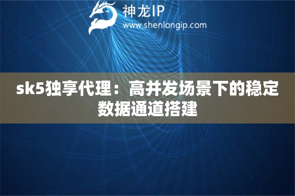 sk5獨享代理：高并發(fā)場景下的穩(wěn)定數(shù)據(jù)通道搭建