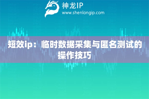 短效ip：臨時數(shù)據(jù)采集與匿名測試的操作技巧