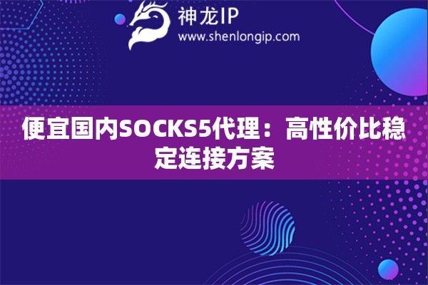 便宜國內(nèi)SOCKS5代理：高性價(jià)比穩(wěn)定連接方案