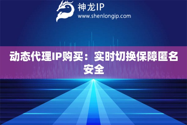 動(dòng)態(tài)代理IP購買：實(shí)時(shí)切換保障匿名安全