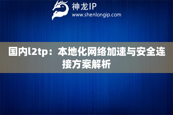 國內(nèi)l2tp：本地化網(wǎng)絡加速與安全連接方案解析