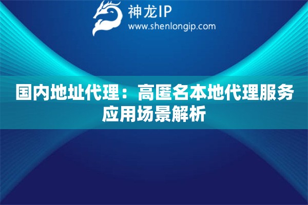 國內地址代理：高匿名本地代理服務應用場景解析