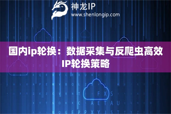 國內ip輪換：數據采集與反爬蟲高效IP輪換策略