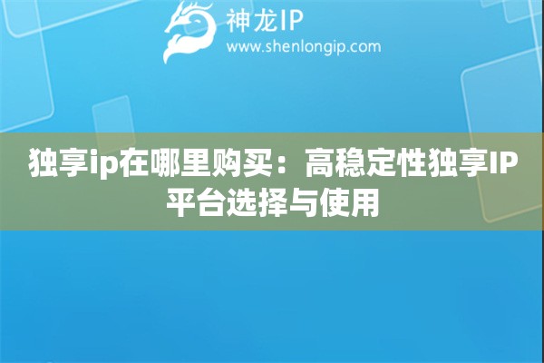 獨享ip在哪里購買：高穩(wěn)定性獨享IP平臺選擇與使用