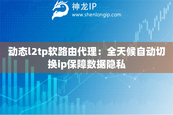 動(dòng)態(tài)l2tp軟路由代理：全天候自動(dòng)切換ip保障數(shù)據(jù)隱私