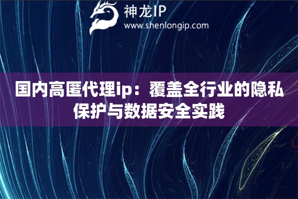 國內(nèi)高匿代理ip：覆蓋全行業(yè)的隱私保護(hù)與數(shù)據(jù)安全實(shí)踐