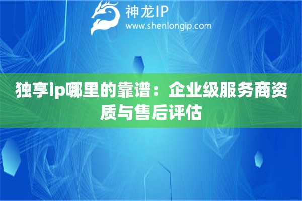獨(dú)享ip哪里的靠譜：企業(yè)級(jí)服務(wù)商資質(zhì)與售后評(píng)估